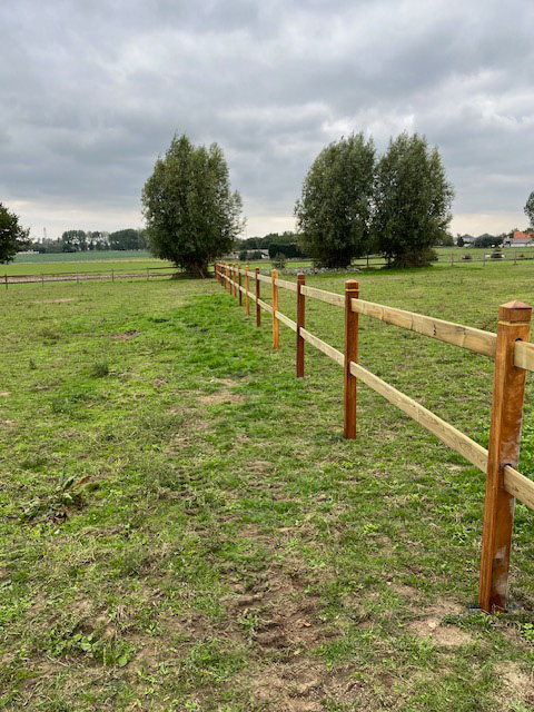 omheining voor paarden